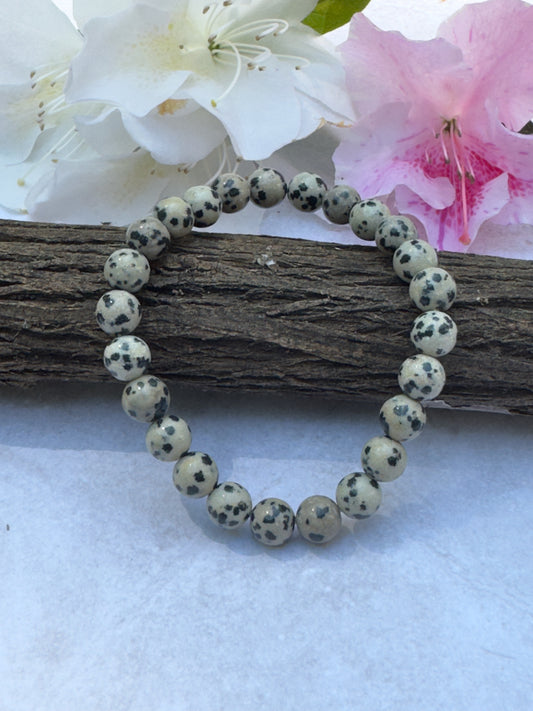 8 mm  Dalmatian Jasper Bracelet