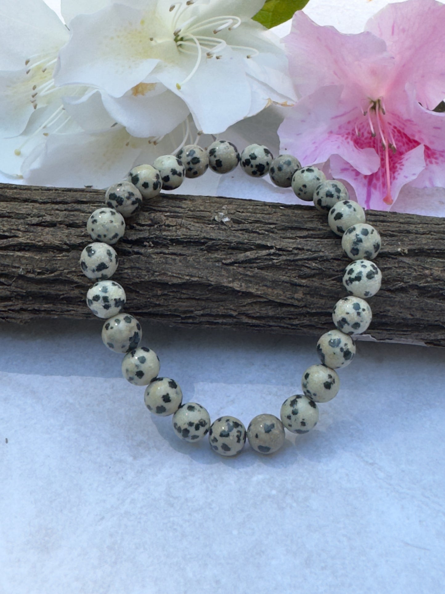 Dalmatian Jasper Bracelet