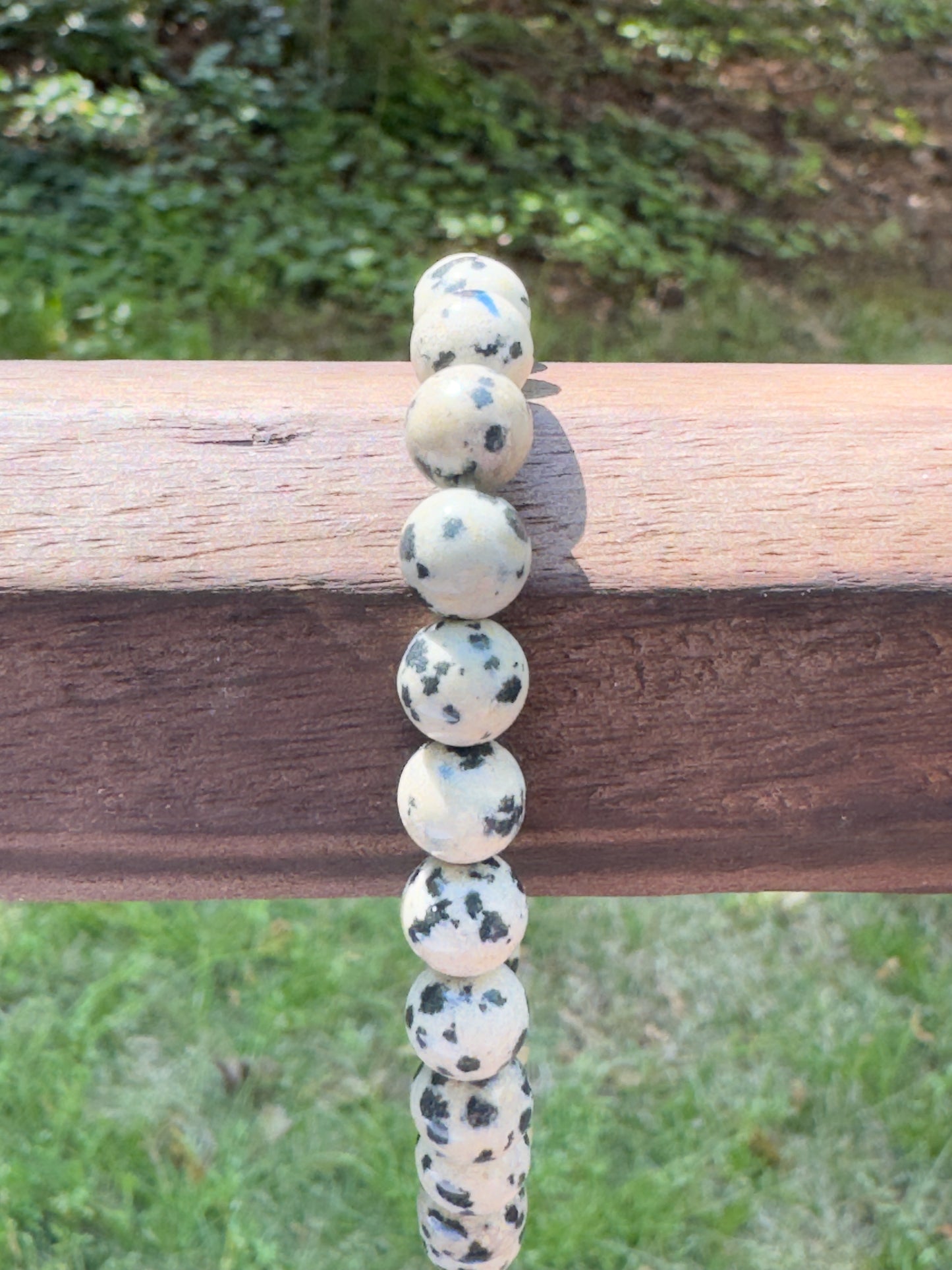 Dalmatian Jasper Bracelet