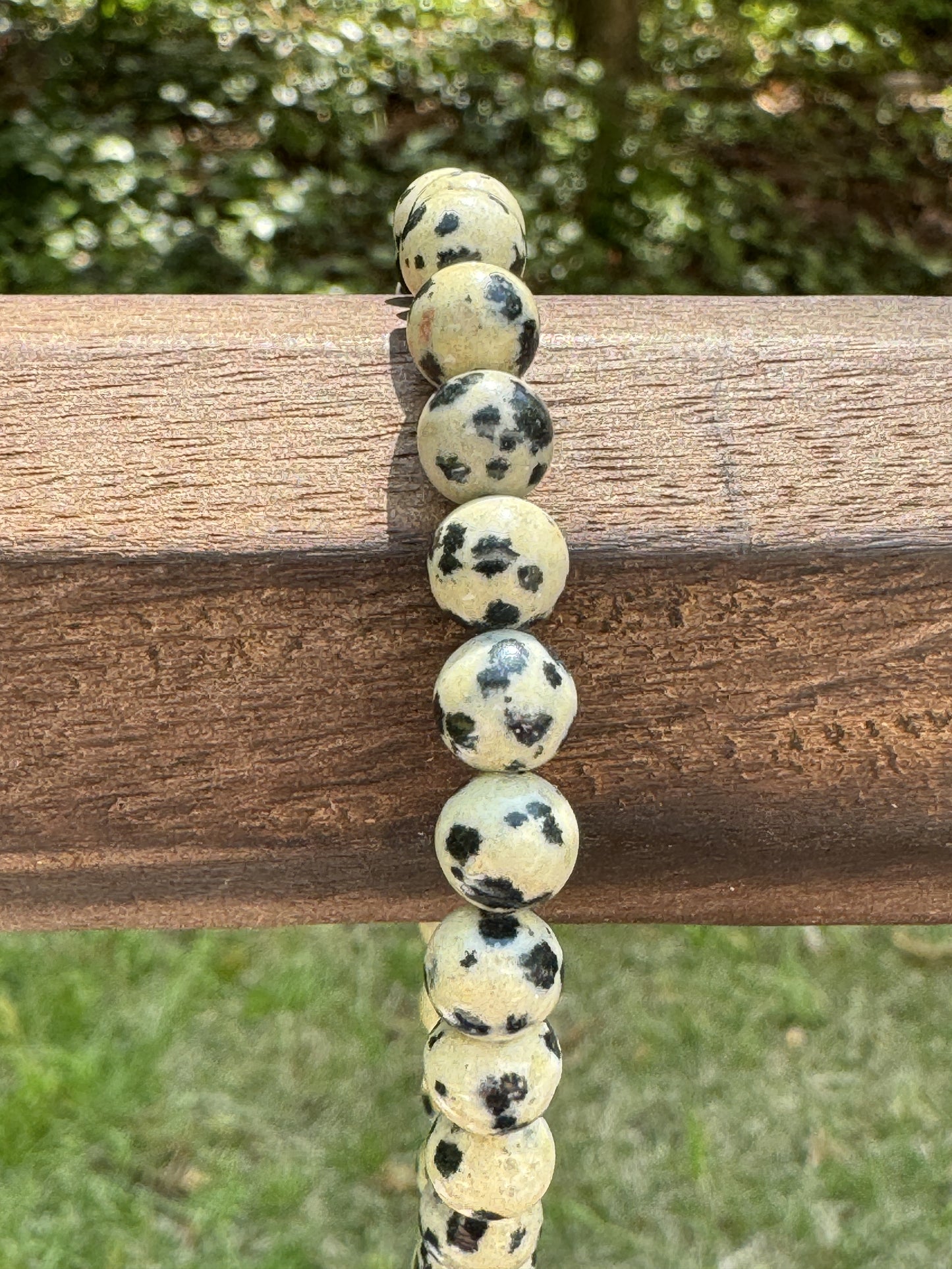 Dalmatian Jasper Bracelet